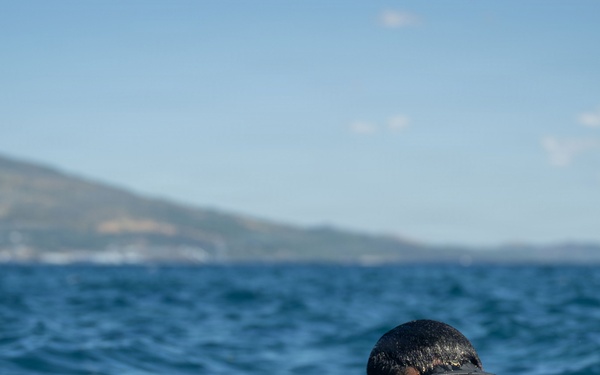 UCT-2 leadership dives with Philippine Navy Seabee divers during BK26