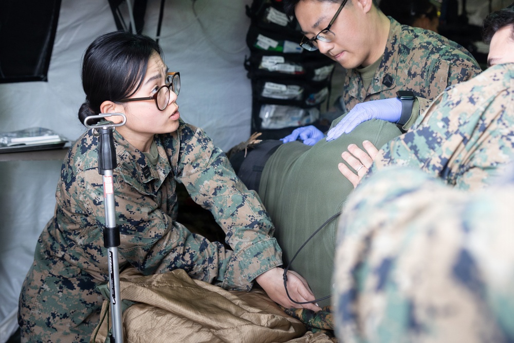 CLB-24 corpsmen showcase capabilities to Swedish and Estonian Armed Forces