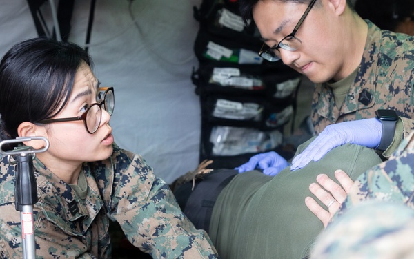 CLB-24 corpsmen showcase capabilities to Swedish and Estonian Armed Forces