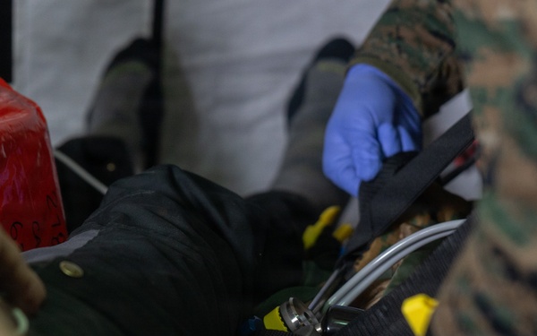CLB-24 corpsmen showcase capabilities to Swedish and Estonian Armed Forces