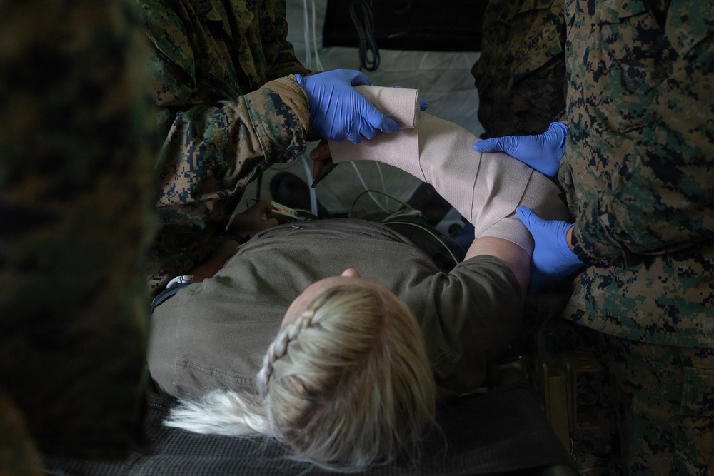 CLB-24 corpsmen showcase capabilities to Swedish and Estonian Armed Forces