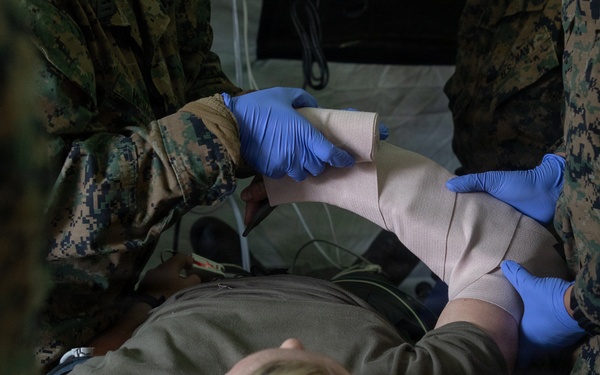 CLB-24 corpsmen showcase capabilities to Swedish and Estonian Armed Forces