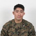 USMC Stock Photos