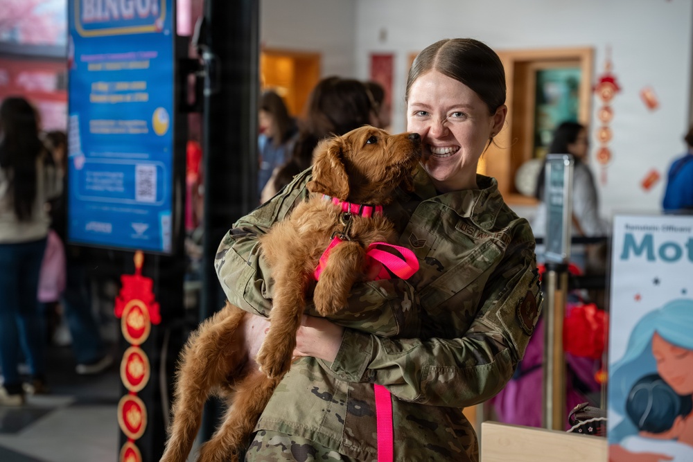 Military Spouse Appreciation Day: Ramstein celebrates those who stand strong beside those who serve