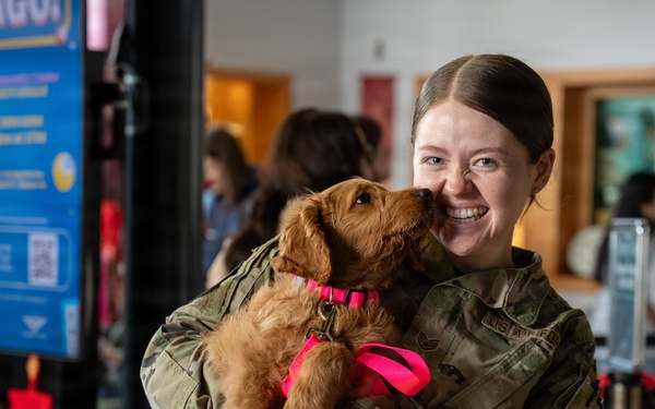 Military Spouse Appreciation Day: Ramstein celebrates those who stand strong beside those who serve