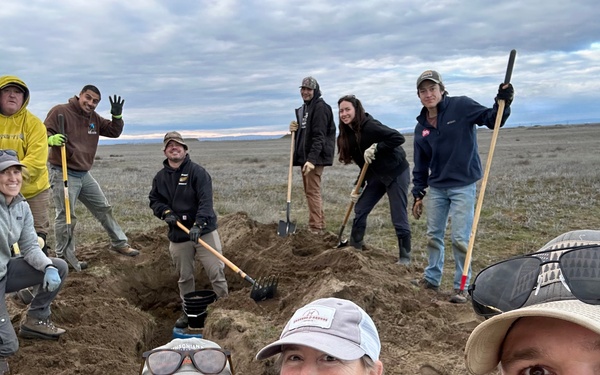 Rees Training Center earns Army environmental award for burrowing owl conservation