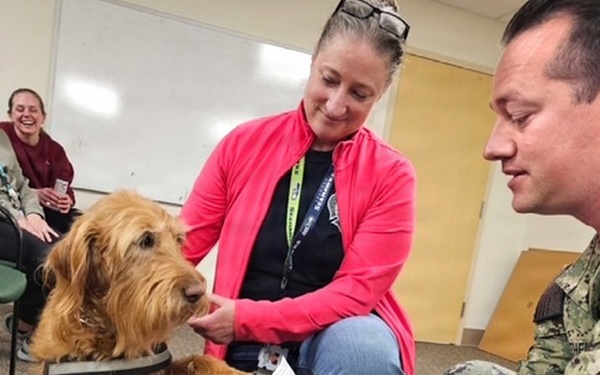 Healing Paws, Healing Hands at David R. Ray Clinic Everett