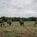 Military District of Washington Best Squad Competition 2026