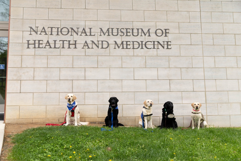NMHM Veterinary Medicine Day 2026