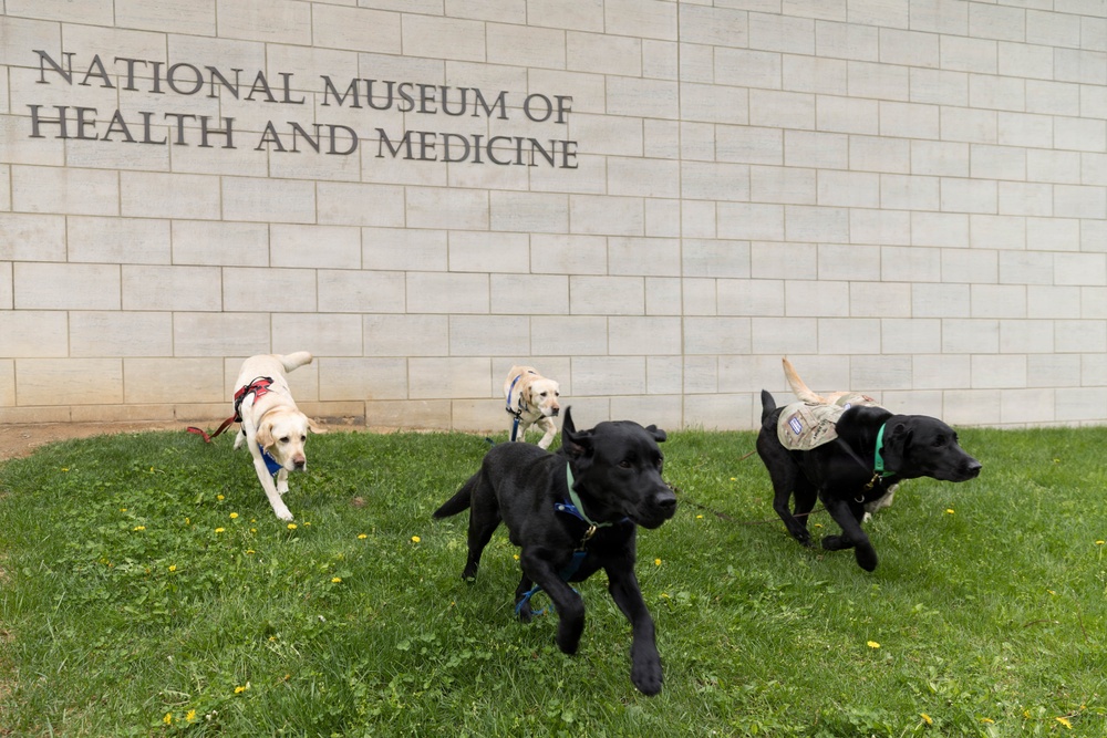 NMHM Veterinary Medicine Day 2026
