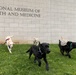 NMHM Veterinary Medicine Day 2026