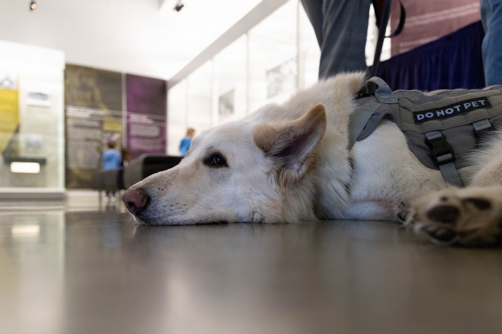 NMHM Veterinary Medicine Day 2026