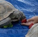 Curation Center hosts Earth Day event at MCAGCC