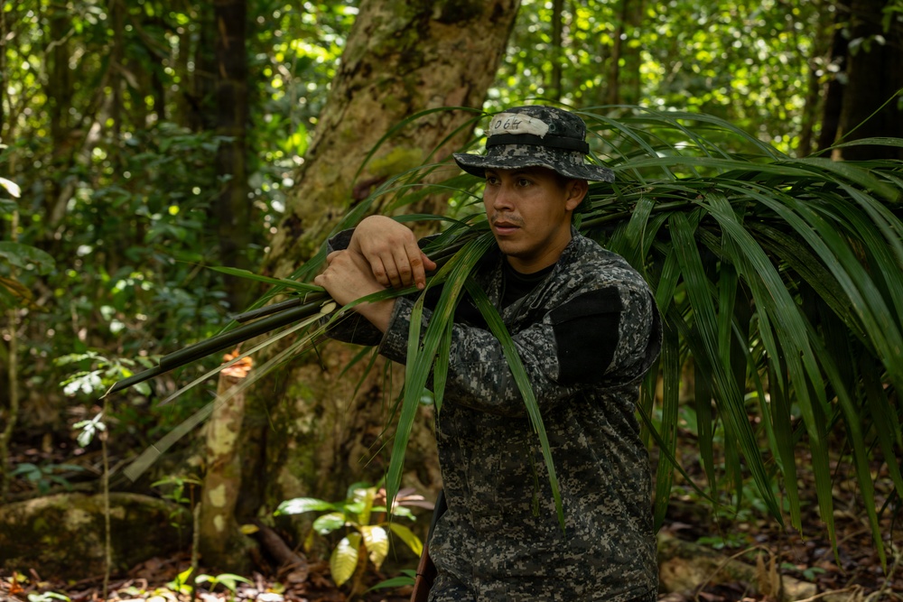 U.S. military and Panamanian partners conduct jungle survival training in Panama
