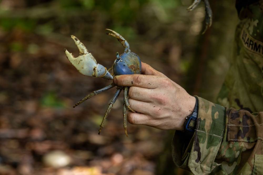U.S. military and Panamanian partners conduct jungle survival training in Panama