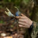 U.S. military and Panamanian partners conduct jungle survival training in Panama