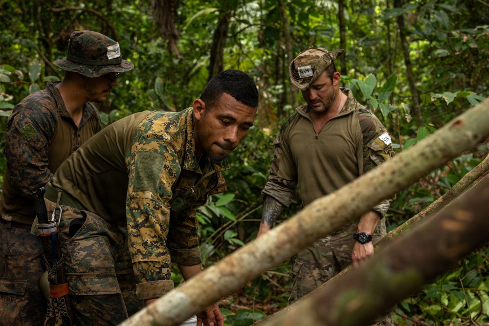 U.S. military and Panamanian partners conduct jungle survival training in Panama