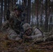 2nd Cavalry Regiment, U.K. Parachute Regiment conduct training operations during Project Flytrap