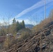 Little Salt Creek Fire Response