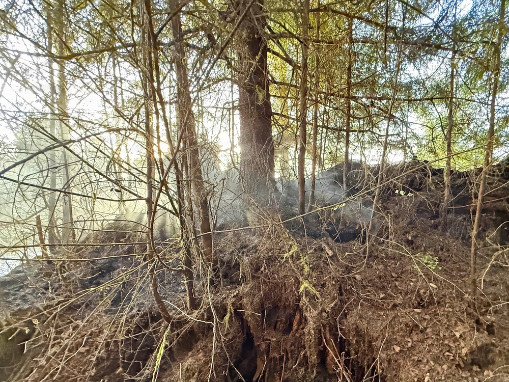 Tongass National Forest Fire Response 11 Mile Fire
