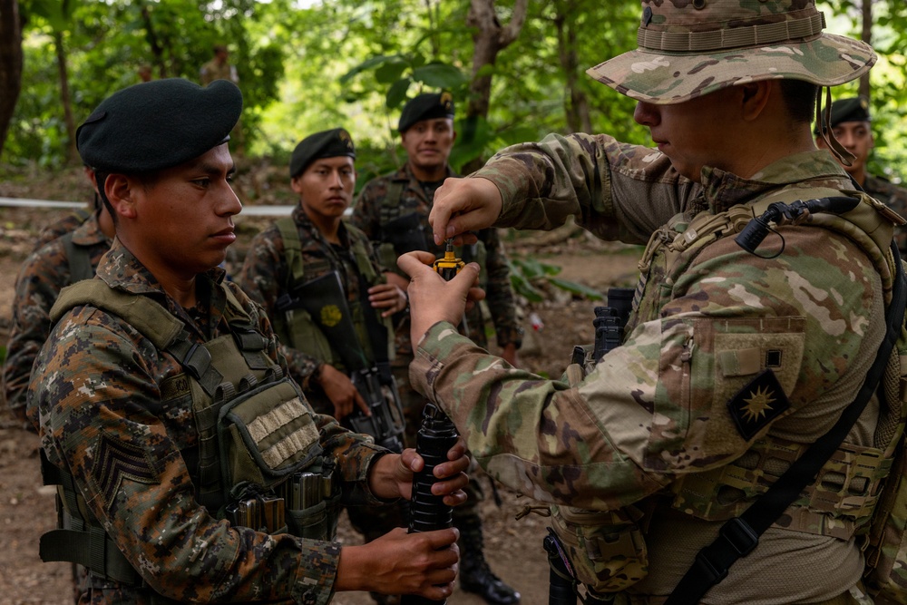 Soldiers conduct warrior tasks and battle drills