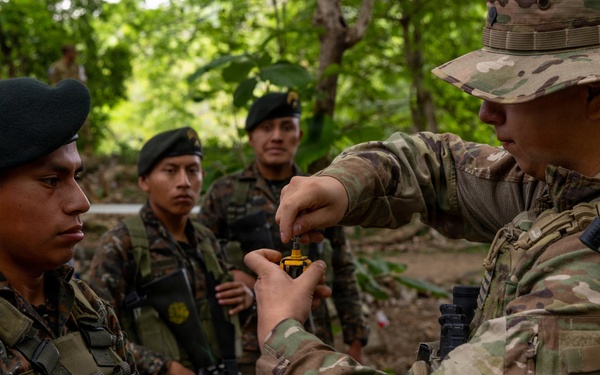 Soldiers conduct warrior tasks and battle drills