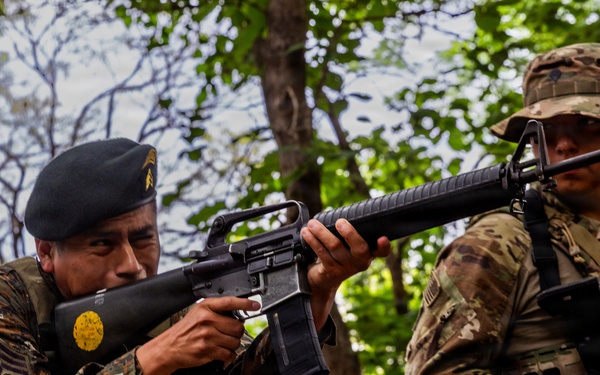 Soldiers conduct warrior tasks and battle drills
