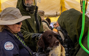 Wisconsin National Guard Members Conduct CERF-P Collective Training Exercise