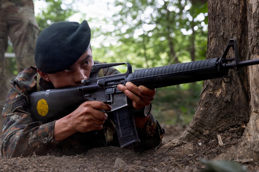 Soldiers conduct warrior tasks and battle drills