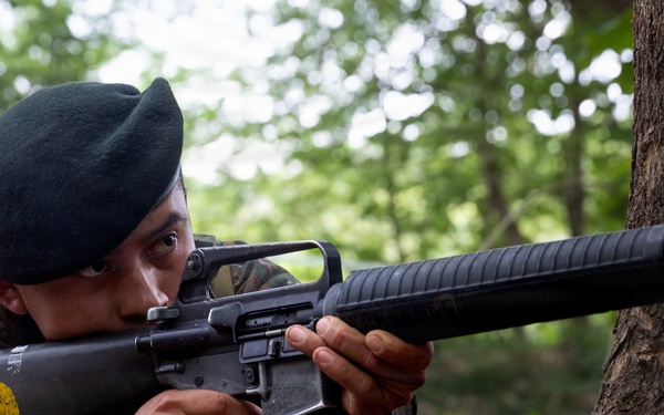 Soldiers conduct warrior tasks and battle drills