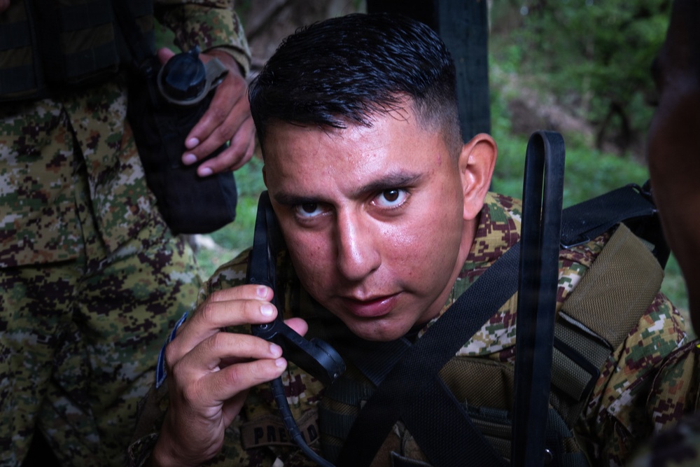Soldiers conduct warrior tasks and battle drills