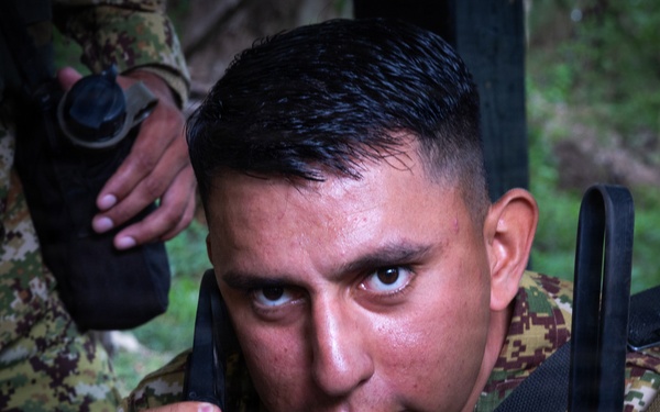 Soldiers conduct warrior tasks and battle drills