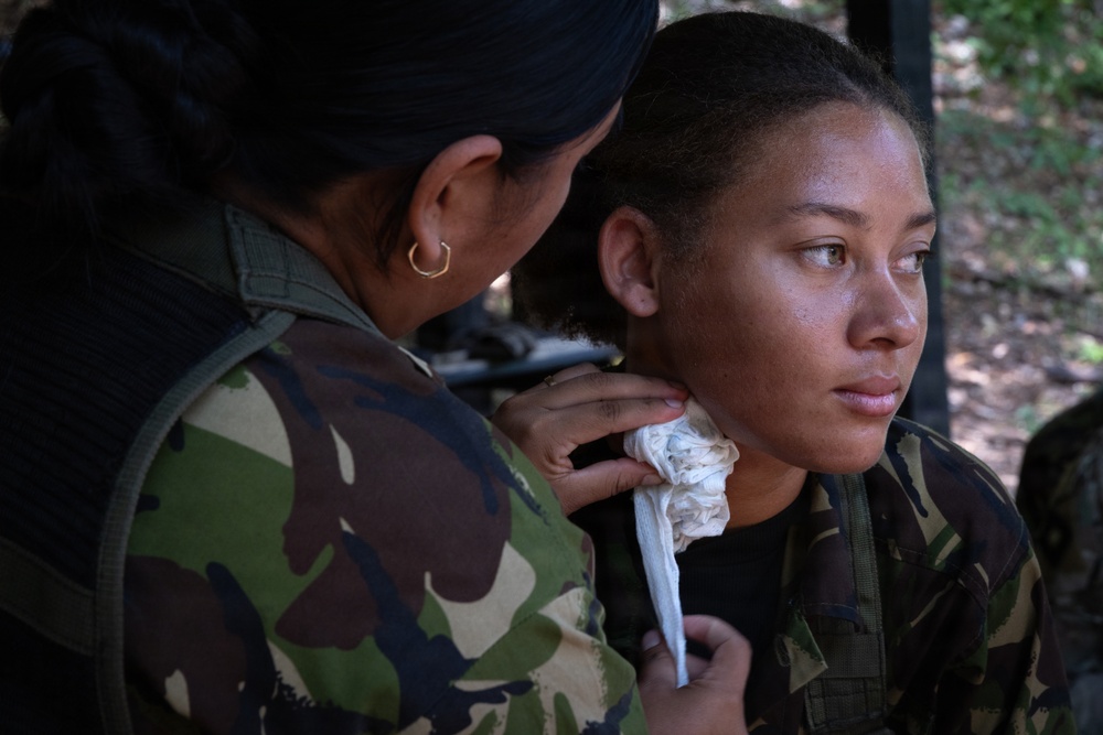 Soldiers conduct warrior tasks and battle drills