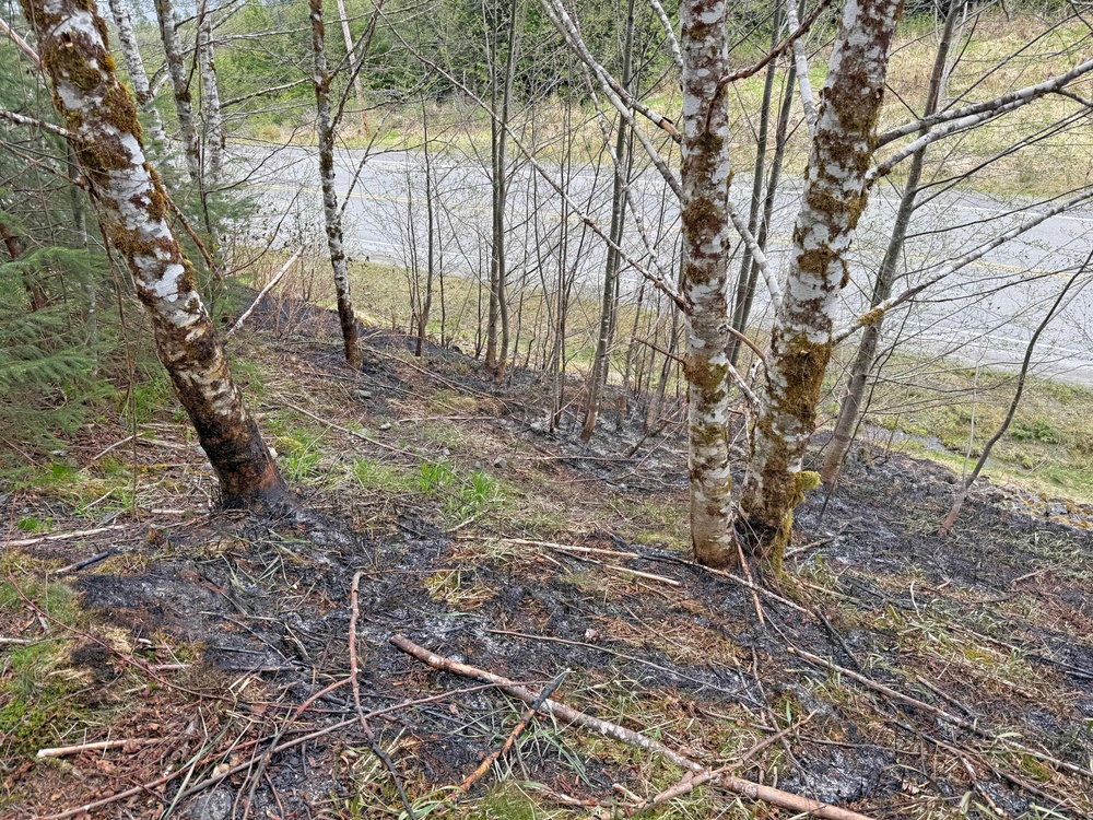 Tongass National Forest Fire Response 11 Mile Fire