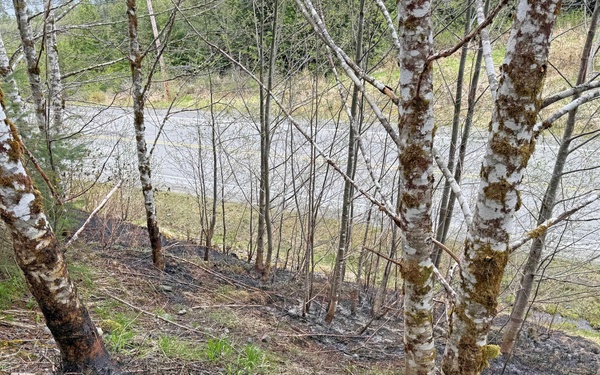 Tongass National Forest Fire Response 11 Mile Fire