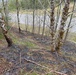 Tongass National Forest Fire Response 11 Mile Fire