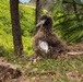 PMRF Leadership Visits Kīlauea Point National Wildlife Refuge