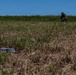 Kaiju Rain 26: 3d Intelligence Battalion Marines conduct drone exploitation