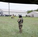 101st Aviation Regiment Conducts MEDEVAC Training