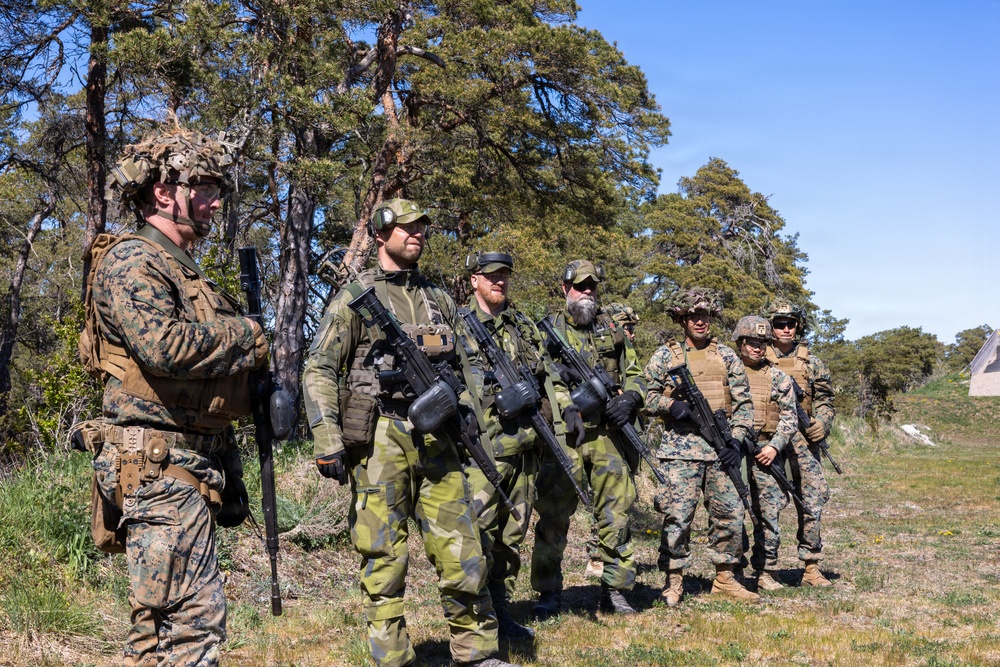 U.S. Marines, Swedish Soldiers conduct small unit tactics and medical training during Aurora 26