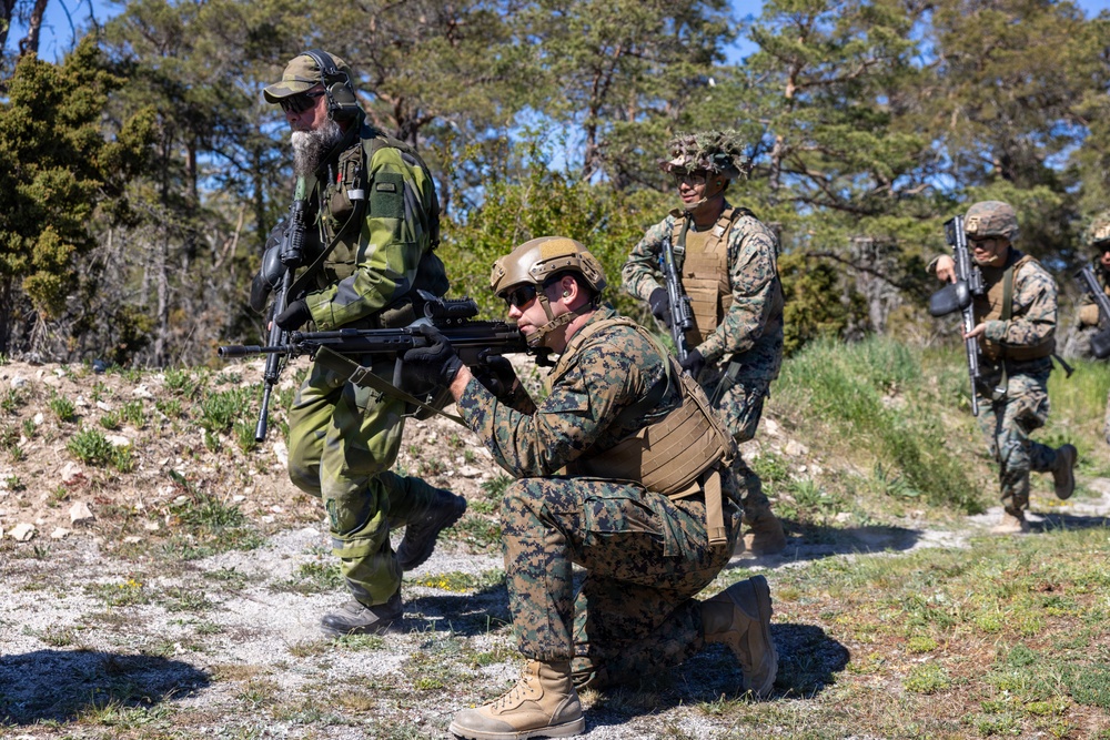U.S. Marines, Swedish Soldiers conduct small unit tactics and medical training during Aurora 26