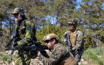 U.S. Marines, Swedish Soldiers conduct small unit tactics and medical training during Aurora 26