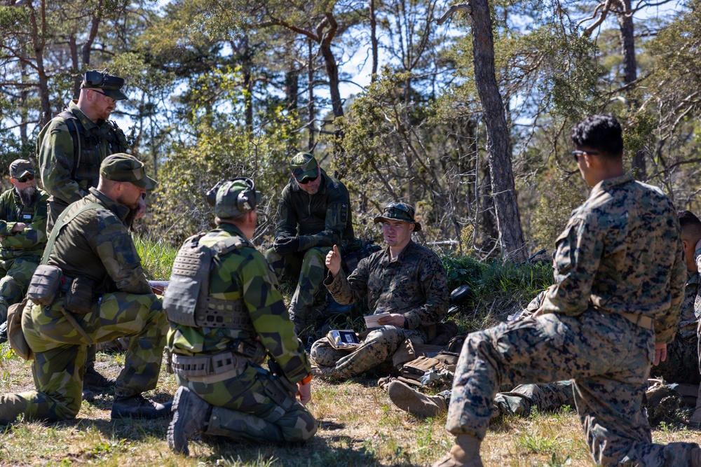 U.S. Marines, Swedish Soldiers conduct small unit tactics and medical training during Aurora 26