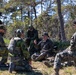 U.S. Marines, Swedish Soldiers conduct small unit tactics and medical training during Aurora 26