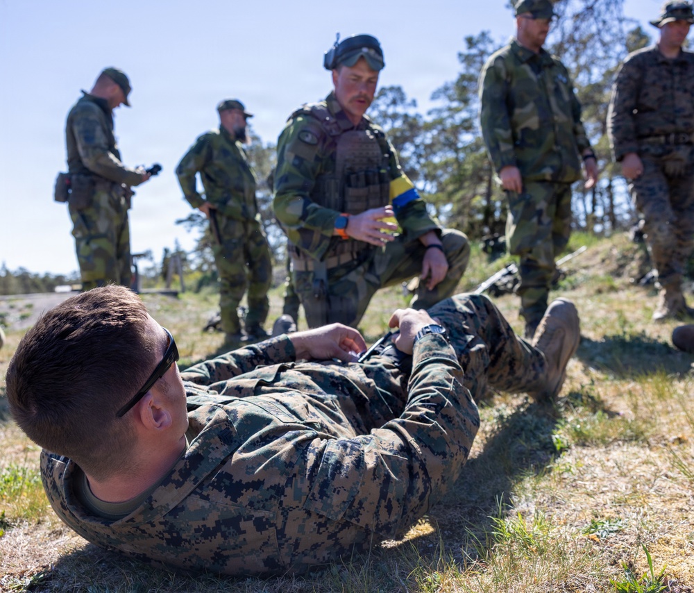 U.S. Marines, Swedish Soldiers conduct small unit tactics and medical training during Aurora 26