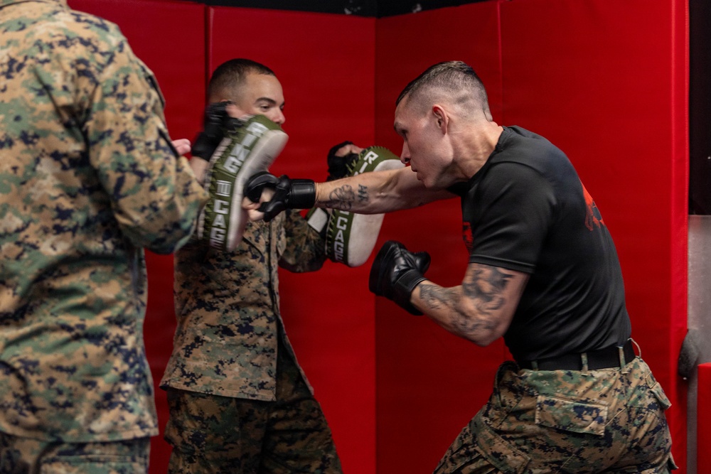 Marines participate in Marine Corps Martial Arts Program workshop