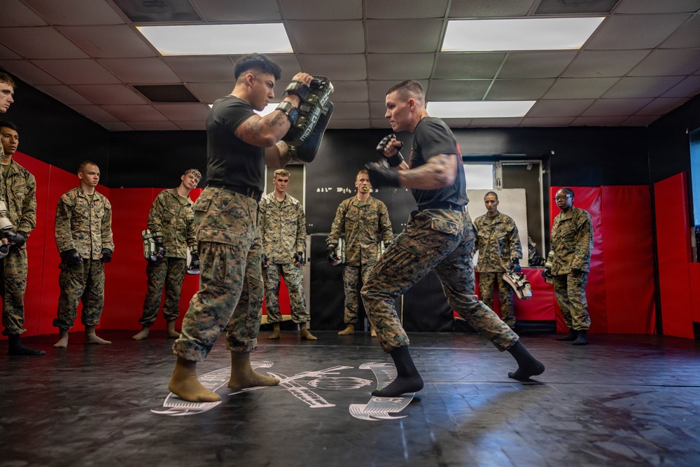 Marines participate in Marine Corps Martial Arts Program workshop
