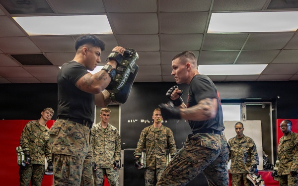 Marines participate in Marine Corps Martial Arts Program workshop