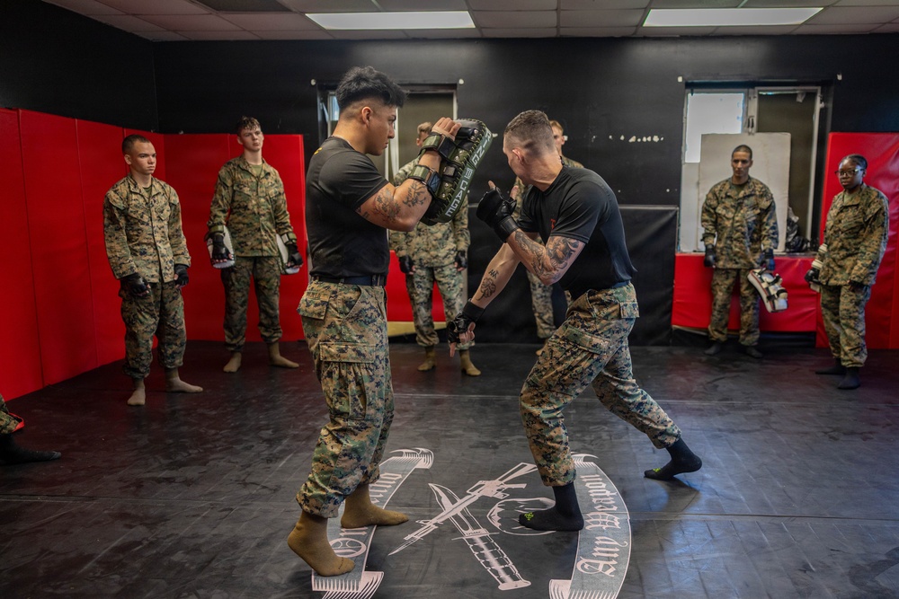 Marines participate in Marine Corps Martial Arts Program workshop