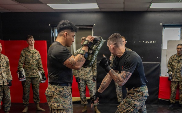 Marines participate in Marine Corps Martial Arts Program workshop